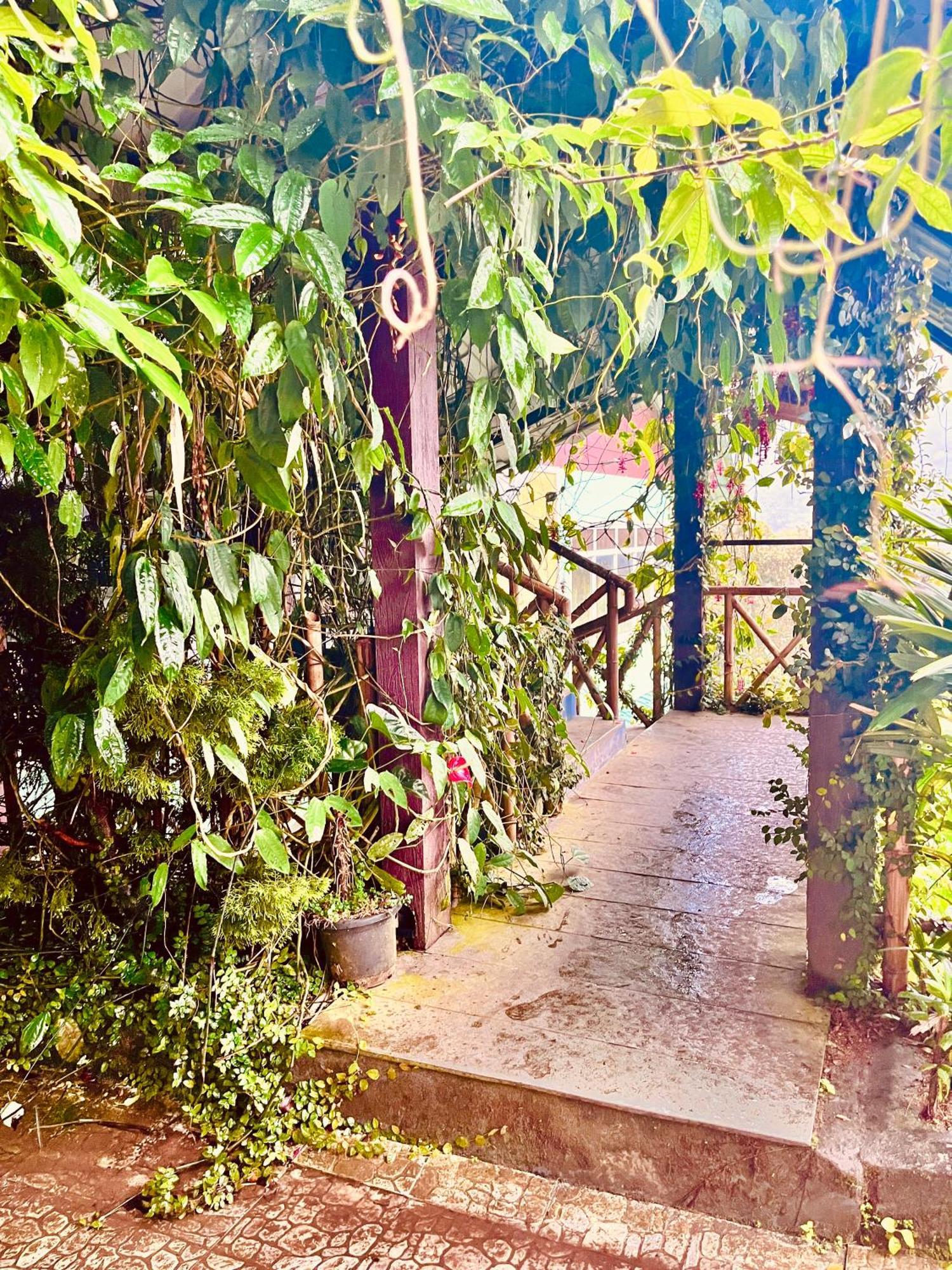 Munnar Tea Estate Cottage And Resort - Away From City Hustle Exterior foto